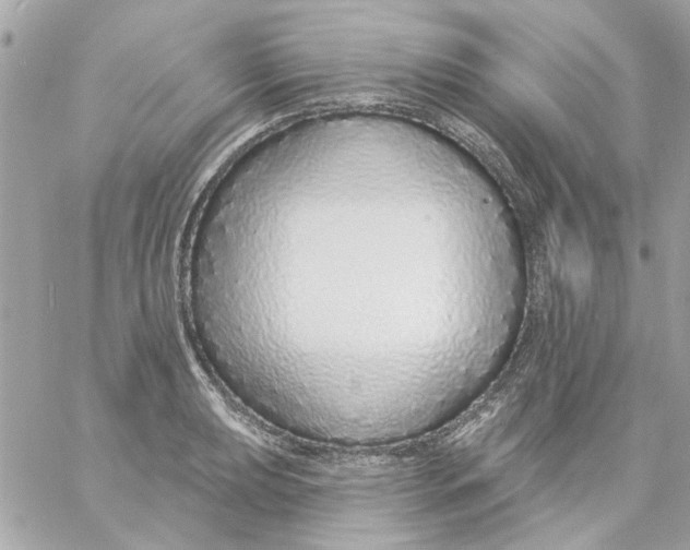 X0000057091039200510071906