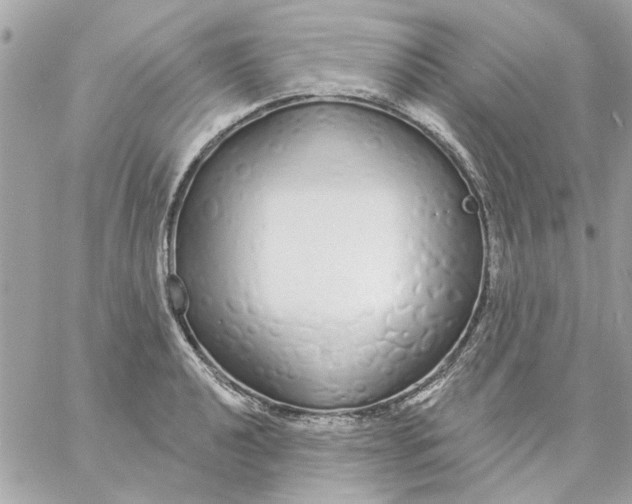 X0000057091040200510071906