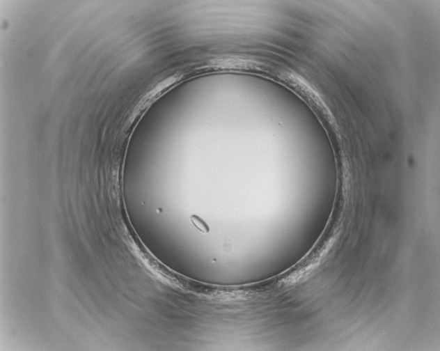 X0000057091041200510071906