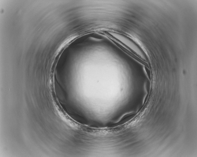 X0000057091042200510071906