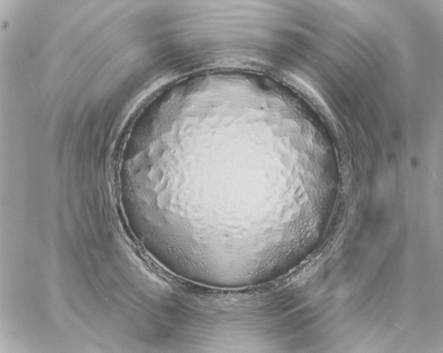 X0000057091043200510071906