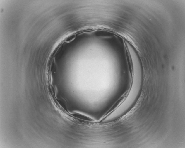 X0000057091046200510071906