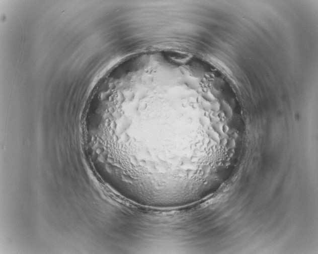 X0000057091047200510071906