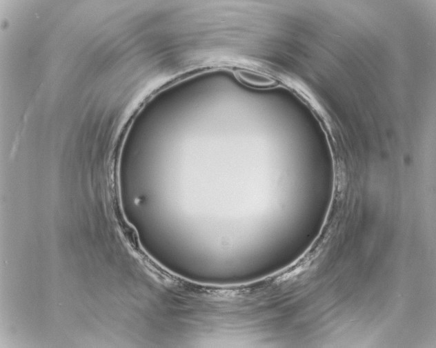 X0000057091048200510071906