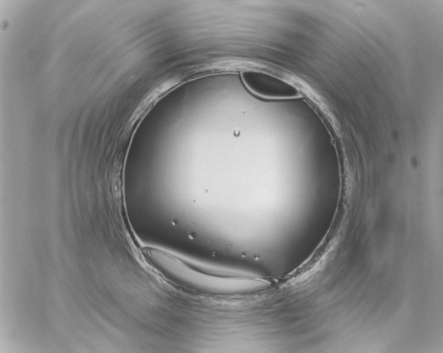 X0000057091049200510071906