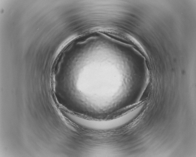 X0000057091050200510071906