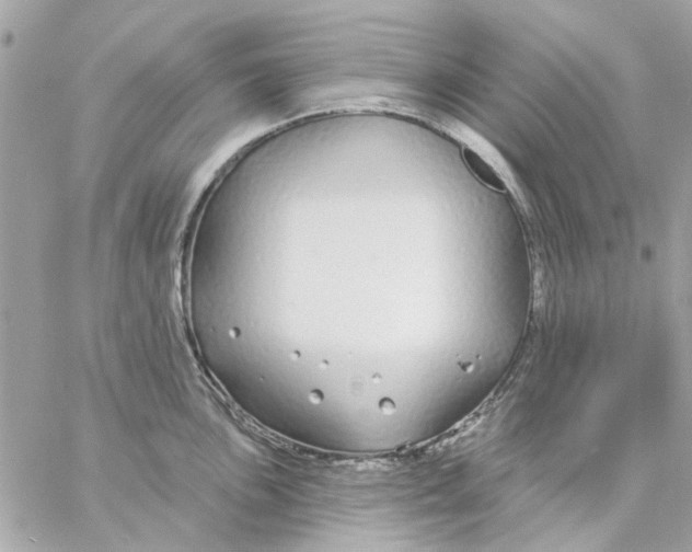 X0000057091051200510071906