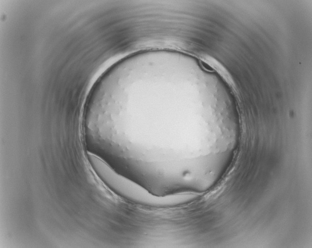 X0000057091052200510071906