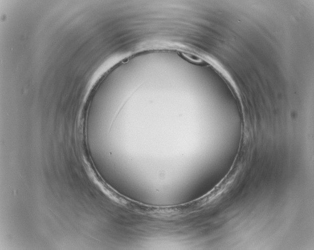 X0000057091053200510071906