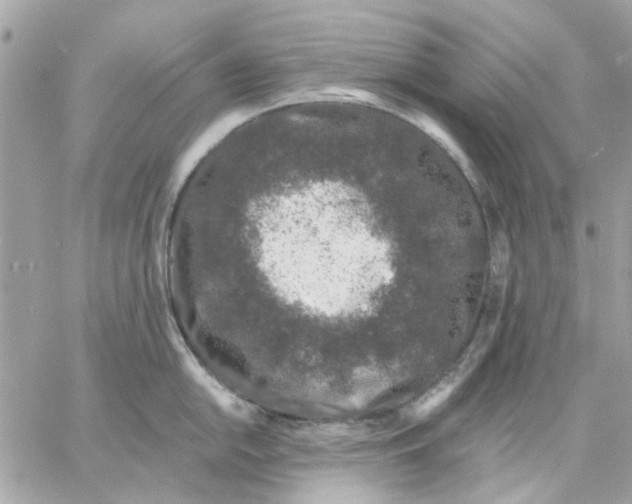 X0000057091054200510071906