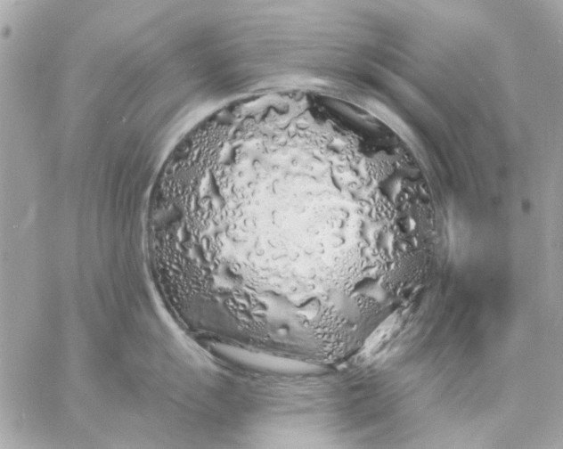 X0000057091055200510071906