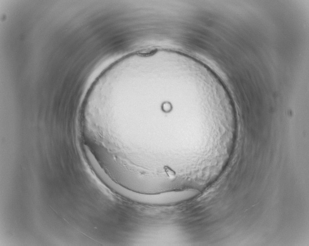 X0000057091056200510071906