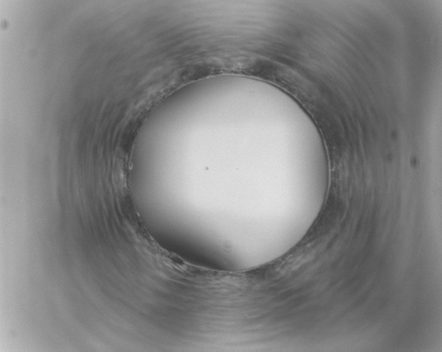 X0000057091058200510071905