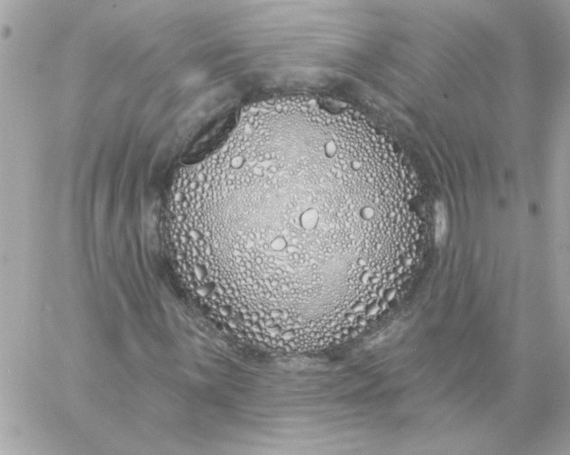 X0000057091059200510071905