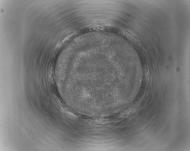 X0000057091060200510071905