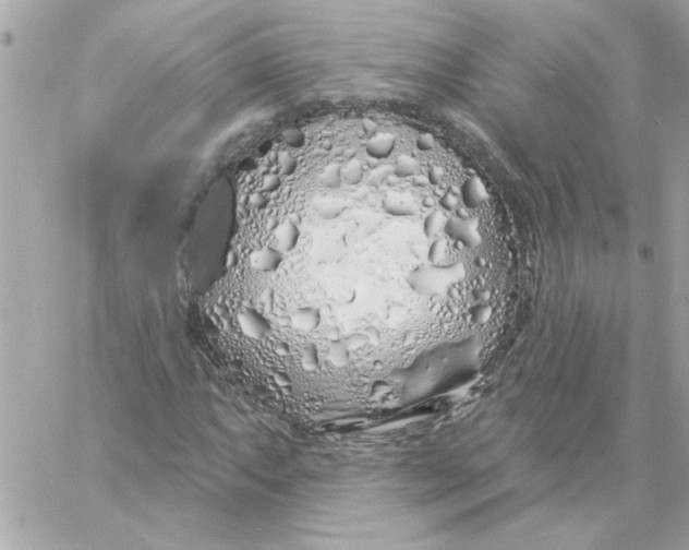 X0000057091063200510071905