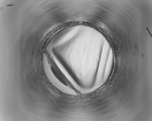 X0000057091064200510071905