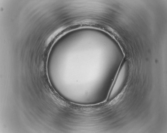 X0000057091066200510071905