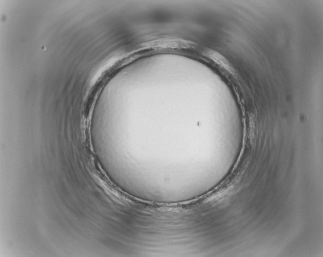 X0000057091067200510071905