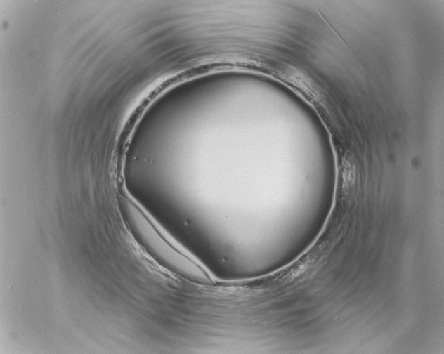 X0000057091068200510071905