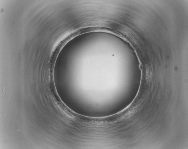 X0000057091069200510071905