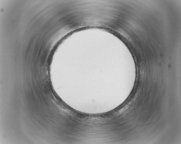 X0000057091070200510071905