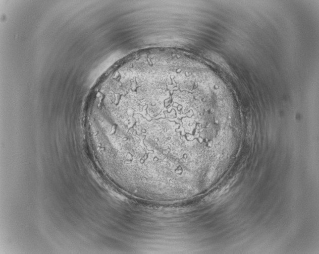 X0000057091071200510071905