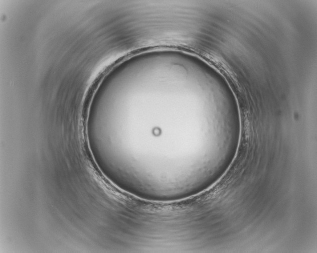 X0000057091072200510071905