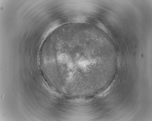 X0000057091074200510071905