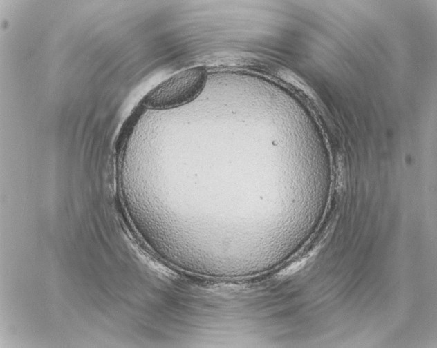 X0000057091075200510071905