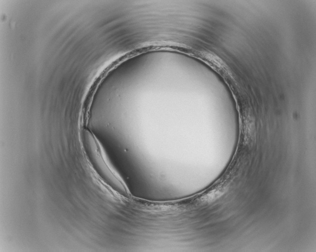 X0000057091076200510071905