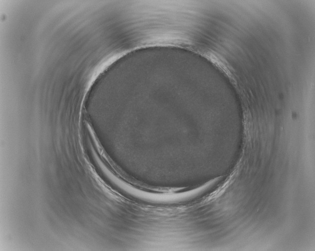 X0000057091077200510071905