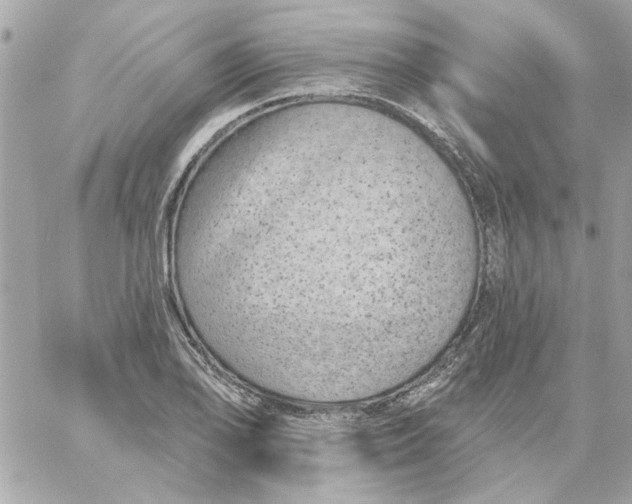 X0000057091078200510071905