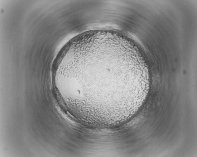 X0000057091079200510071905