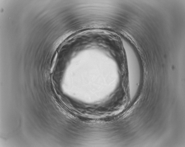 X0000057091081200510071905