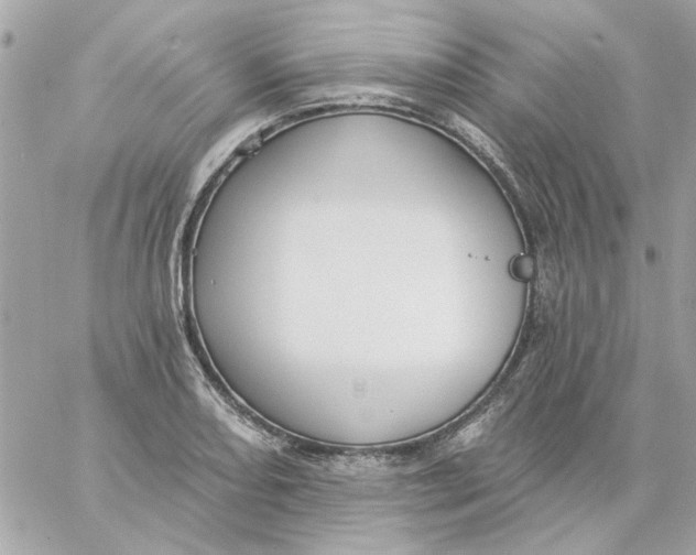 X0000057091082200510071905