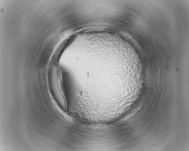 X0000057091083200510071905