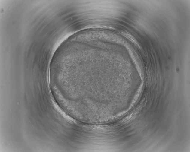 X0000057091084200510071905