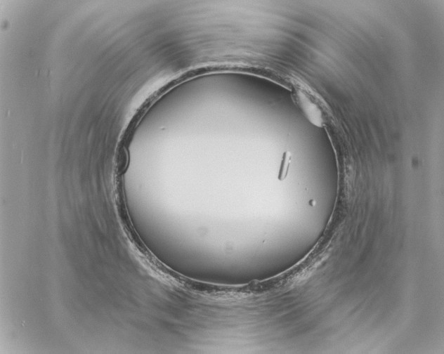 X0000057091085200510071905