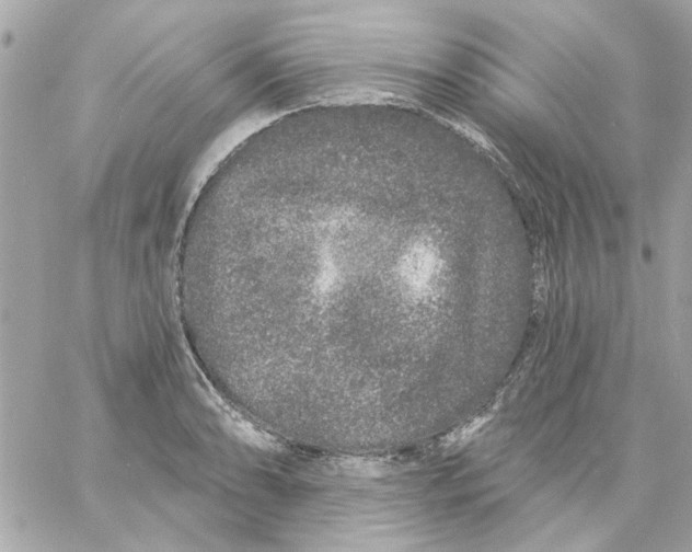 X0000057091086200510071905