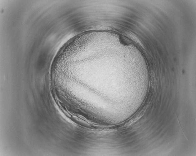 X0000057091087200510071905