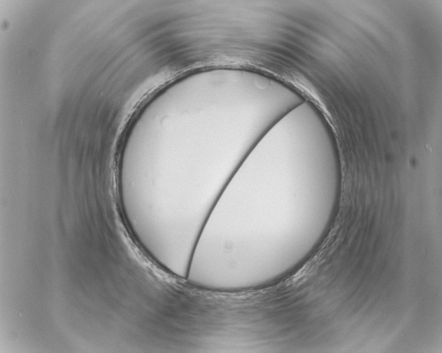 X0000057091088200510071905