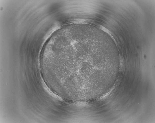 X0000057091090200510071905