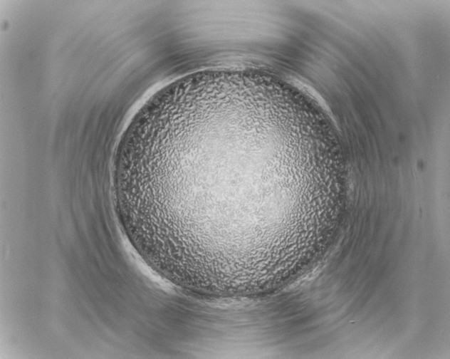 X0000057091091200510071905