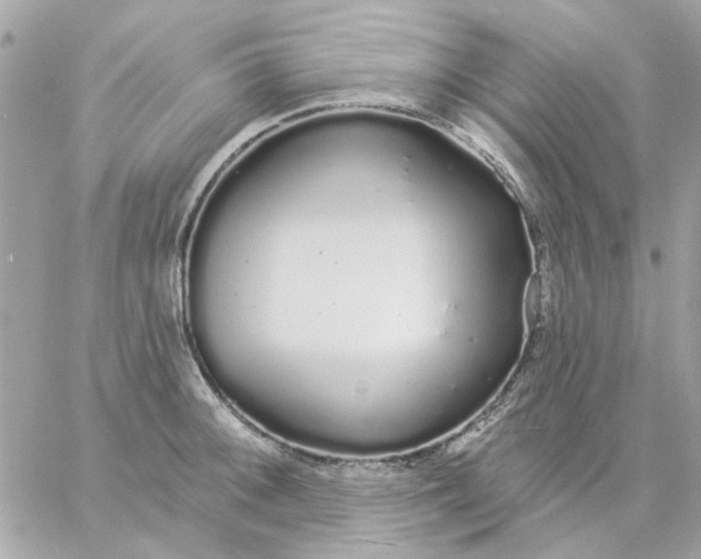 X0000057091092200510071905