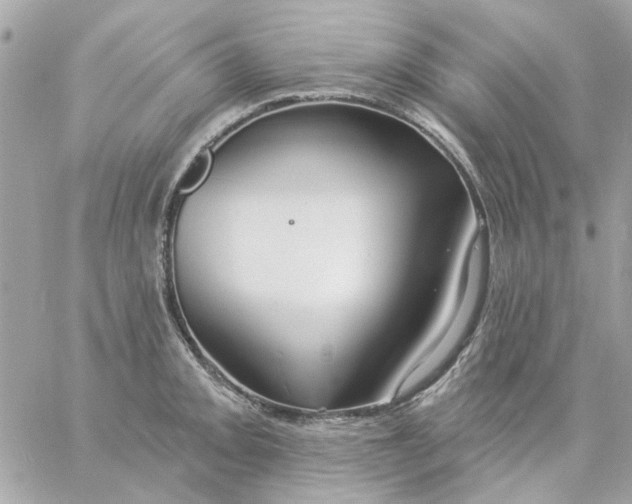 X0000057091093200510071905