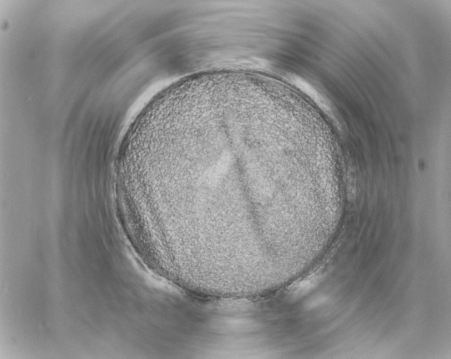 X0000057091094200510071905