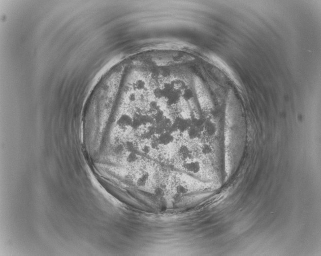 X0000057091095200510071905