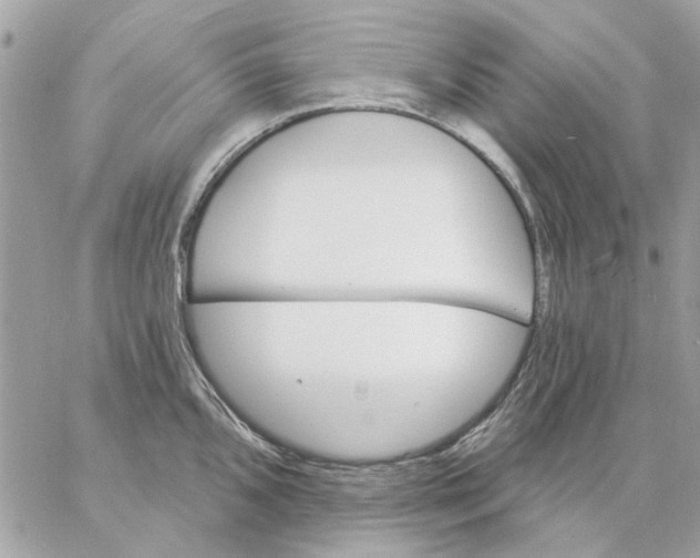 X0000057091096200510071905