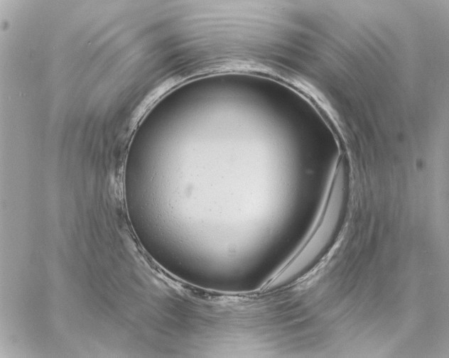 X0000057091097200510071905